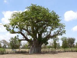 285337_10150261347854901_7498985_n